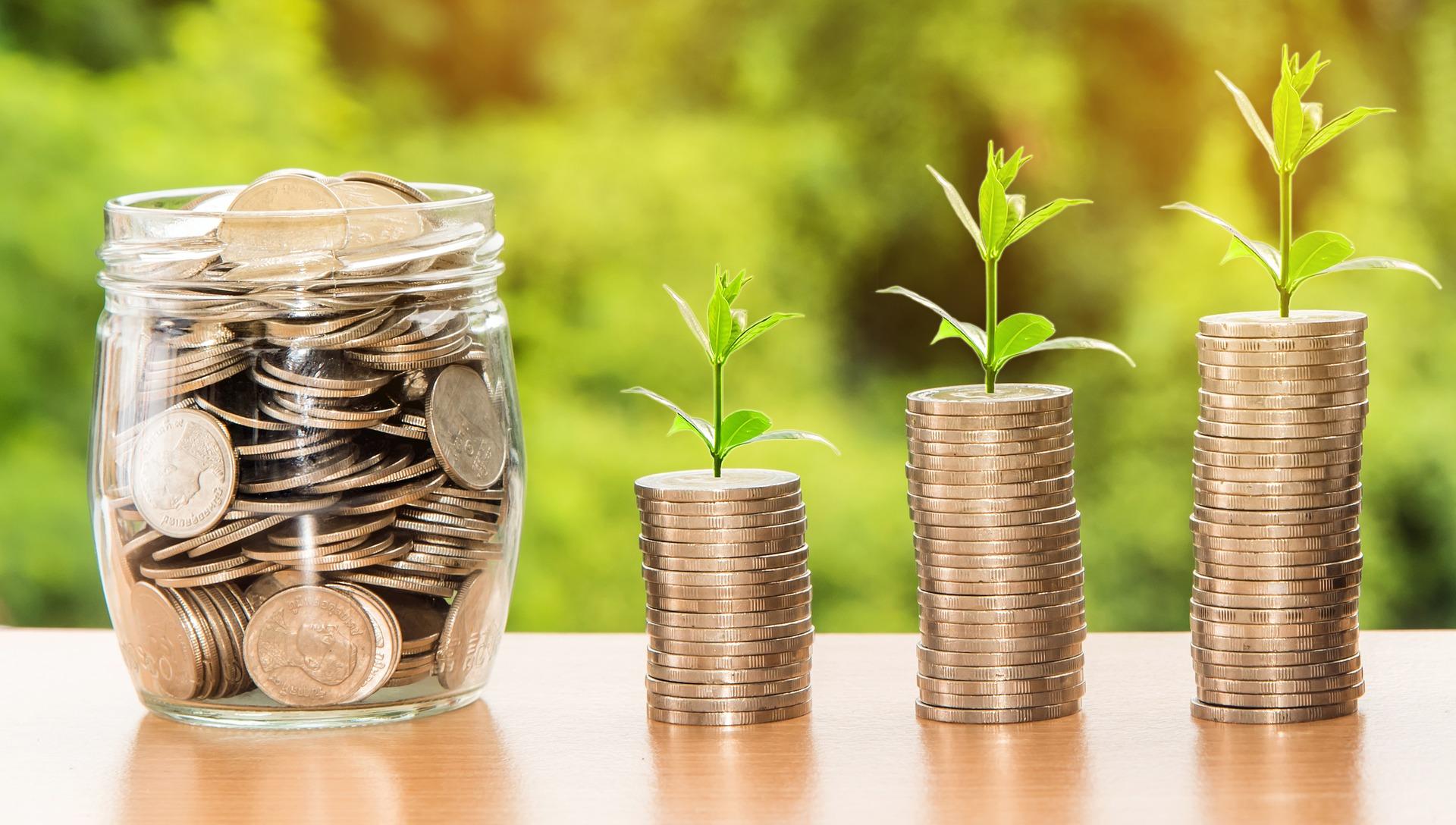 Top 11 mutual funds with 5 star rating,